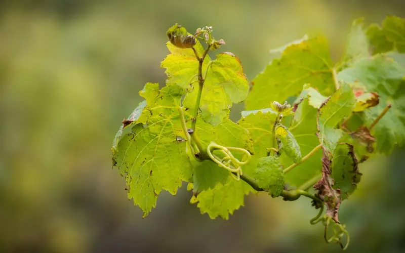 对啊，我就是嫌你穷才分手的啊