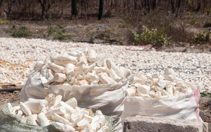 阴法皇帝Arjan Peing Buyuen阿赞并二期29灵萨佑曼坤平