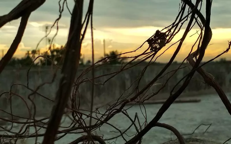 已经有老婆了，又遇到更喜欢的人怎么办？终于有答案了！