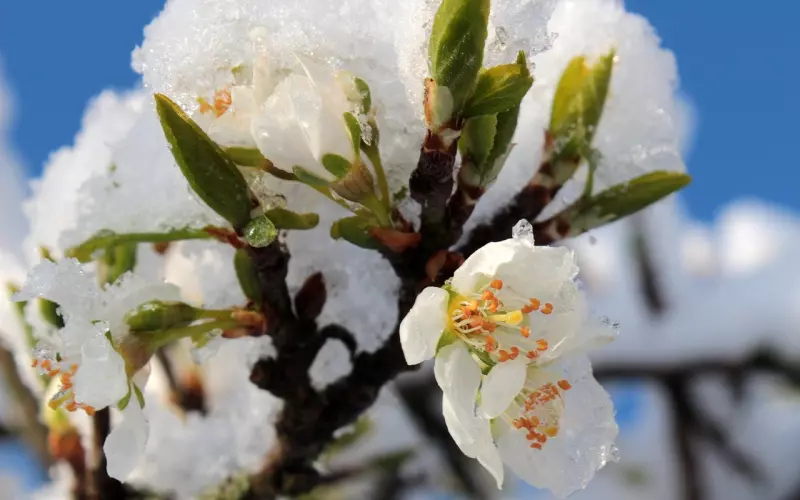已经有老婆了，又遇到更喜欢的怎么办？终于有答案了！