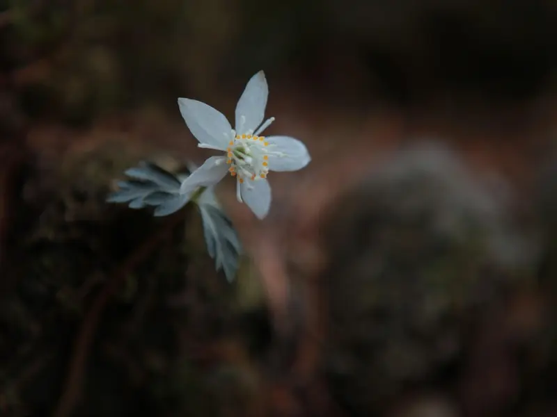 你也很讨厌别人让你做选择