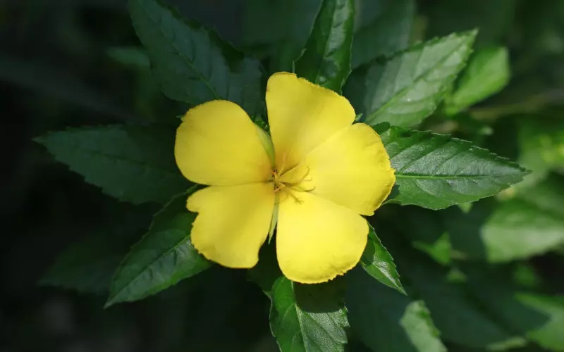 你们不同，你们要寻找相同