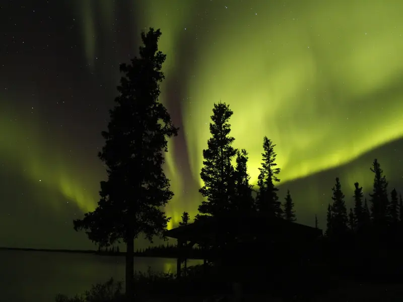 你什么都不好，却教会了我放手。