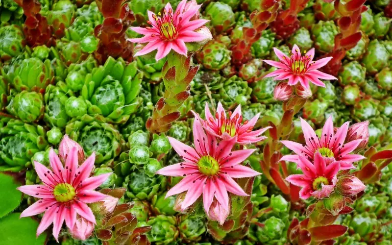 你可以坚强，但不必太逞强！