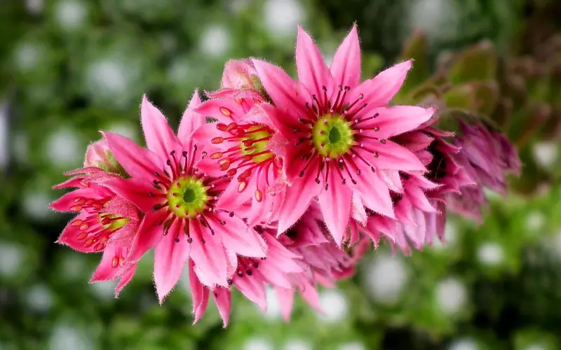 你可以傻，但你不可以放不下