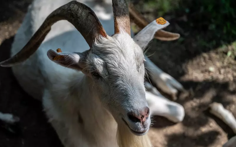 分手后能不能挽回，凭这点就能判断！