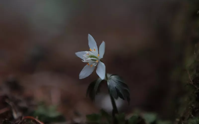 你永远也无法叫醒装睡的他