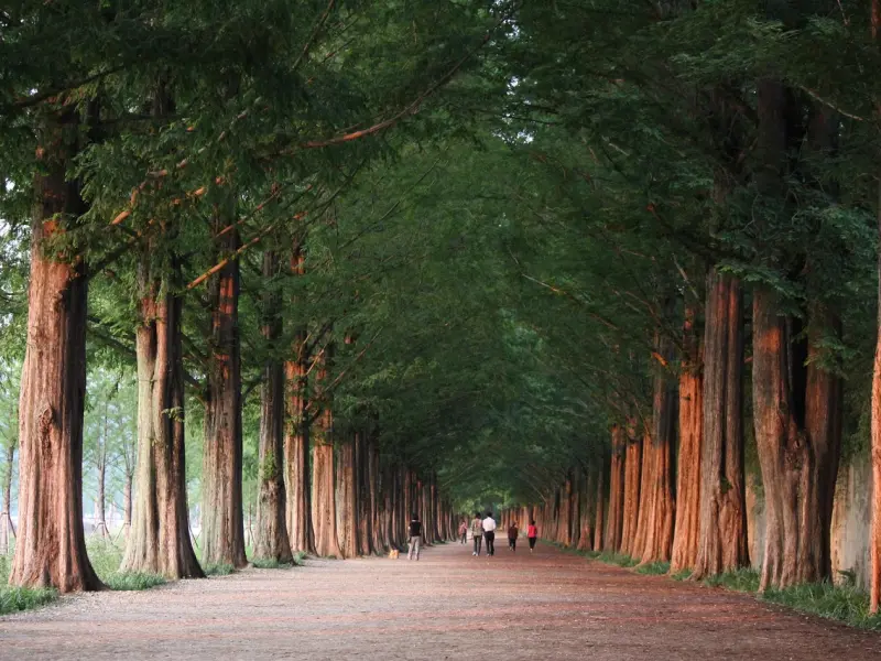男人“睡你”的方式里，就可以知道他爱你的程度！