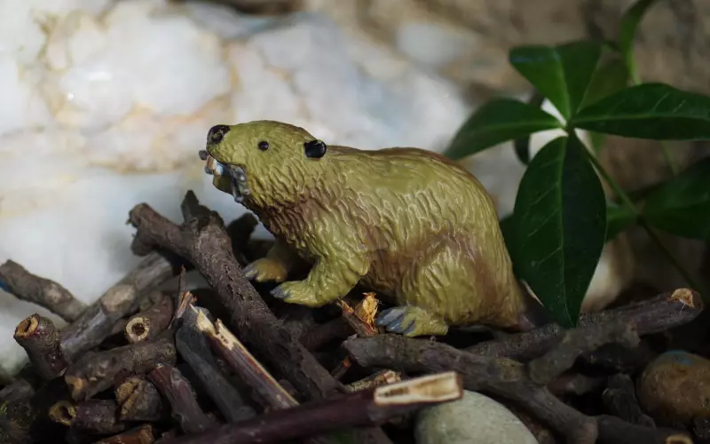 一个男人“爱不爱玩”，看他3个地方就有数了，坏毛病表现很明显