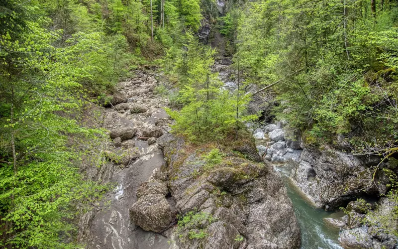 挽回不能有以下心态