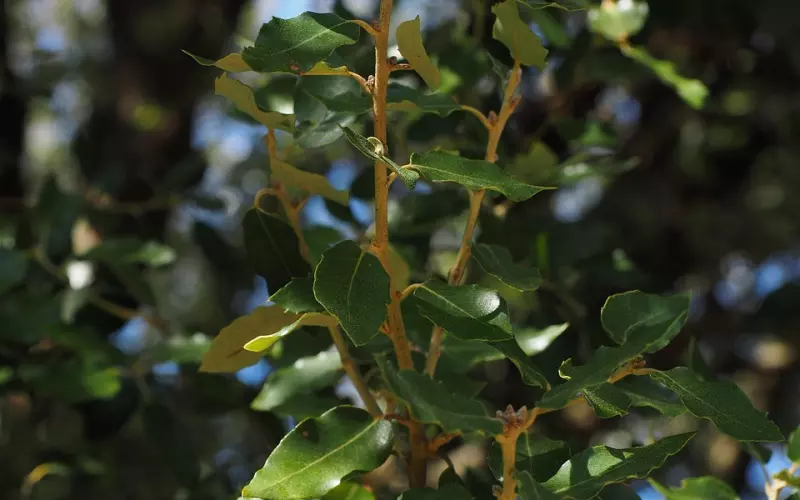 男人不能惯，越惯越混蛋！！