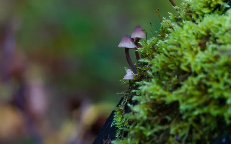 你明明什么都没有，凭什么事事不将就