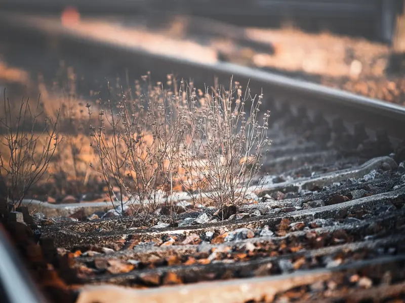 你不必那么冷淡，我没想过要纠缠。