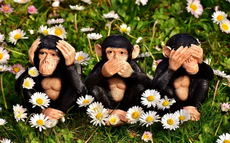 不看不知道！挽回成功概率最高的三个时期