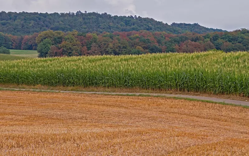 不用猜都知道，挽回不了，你必定缺少这个能力