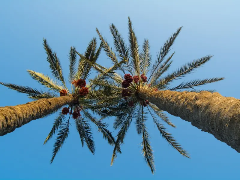 你为他付出一切，为什么他还是背叛了你？