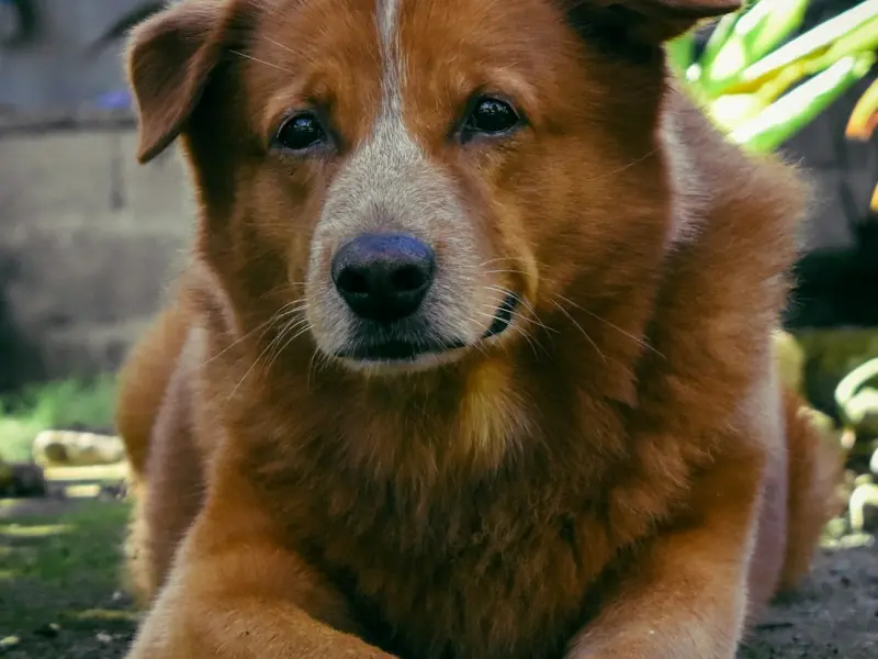 弄错了这一点，导致你走到了挽回这一步