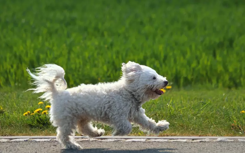 和男友吵架了，情感咨询师教你如何机智地挽回他！