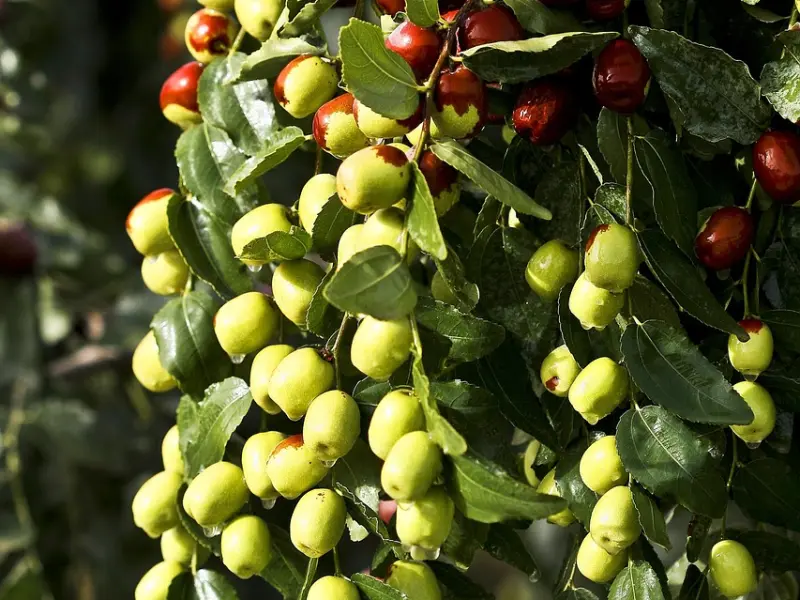 微信要这么聊，才能把到女神嘛