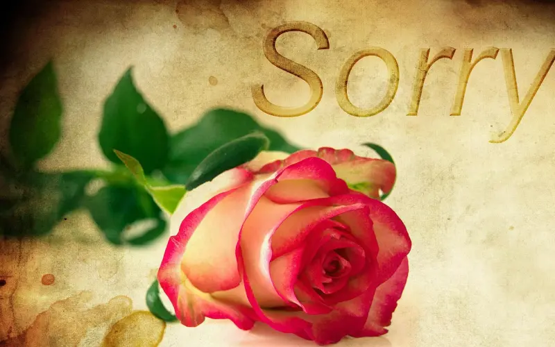 你要记得，伤害过后，再无原谅。