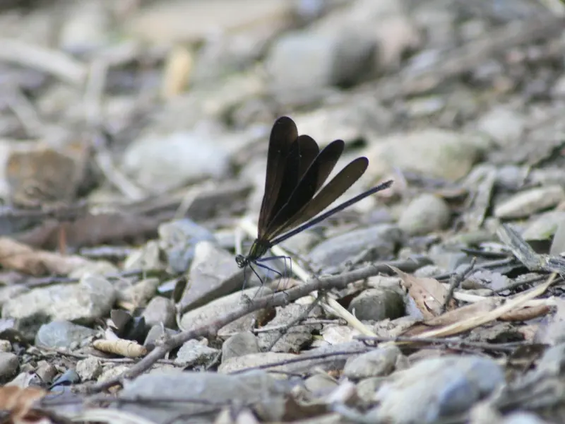 你才刚分手，不用急着挽回他