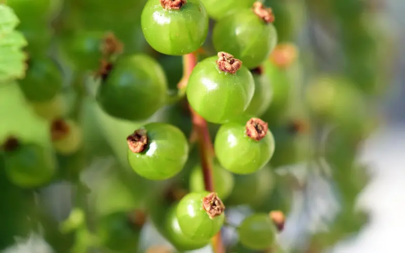 你们可能真的不合适