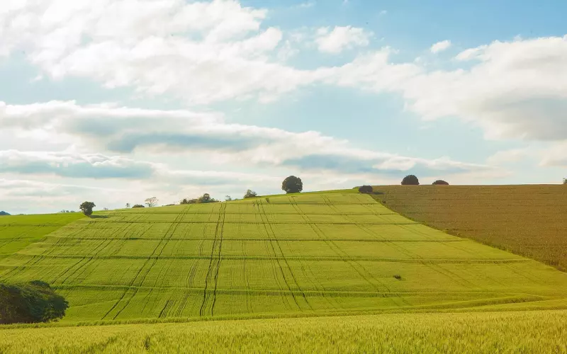 挽回之前必知：到底是什么透支掉了你们的感情？