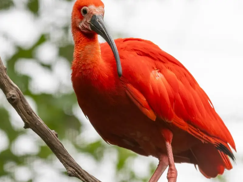 挽回变心男友必会技巧，轻松挽回射手男友