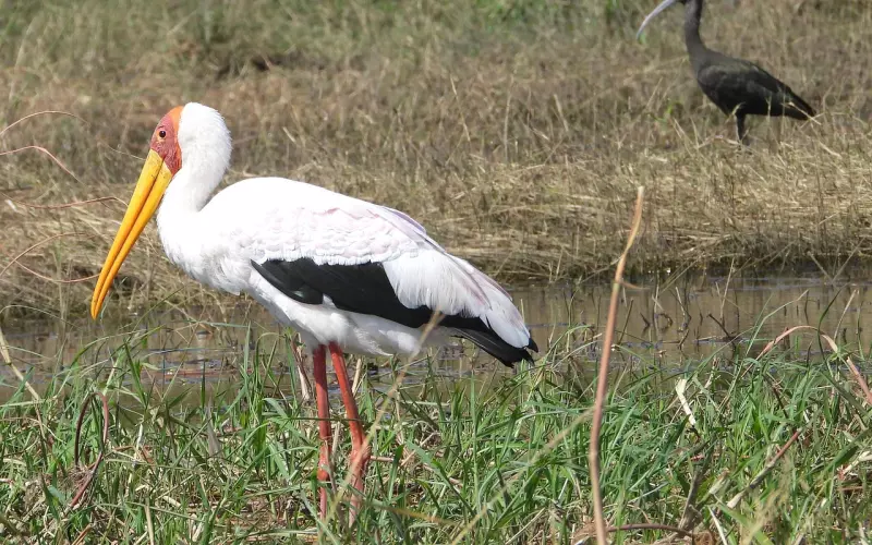 挽回变心男友必会技巧，轻松挽回男友