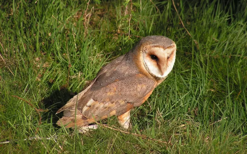 挽回男友过程中这些事绝对不能做！