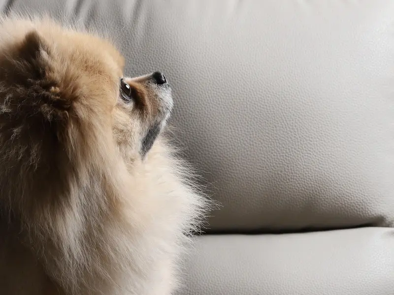 挽回前需要明白这两点，才能挽回心爱的他