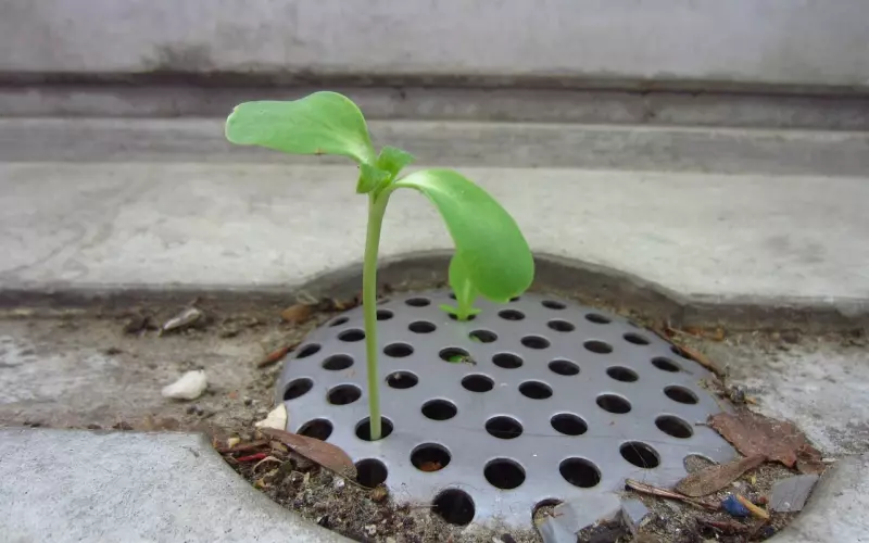 分手才知道后悔，不想失去对方该怎么挽回？