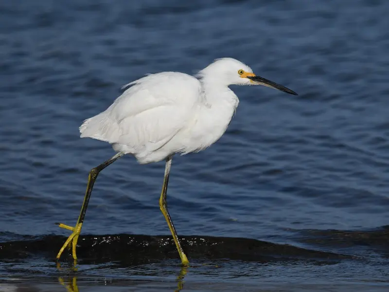 挽回感情一直得不到对方的回应，真实原因你知道吗？