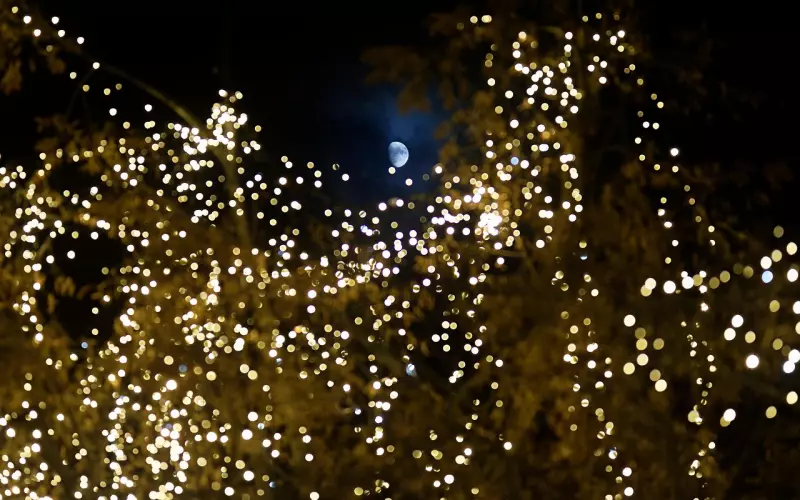 你还欠我的分手火包，啥时候打？