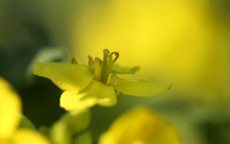 床上虐我千百遍，我对上床如初恋