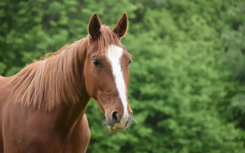 【你中奖啦】2016猴年签200位获奖名单