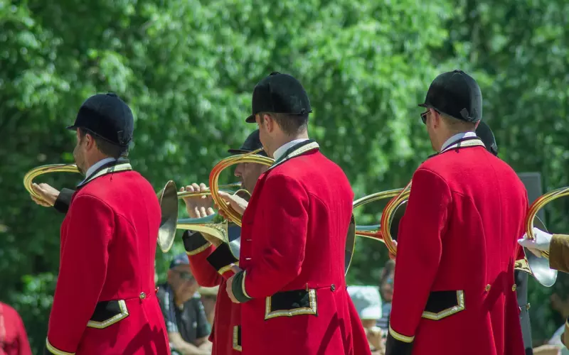 你的背叛，与我毫无干系。