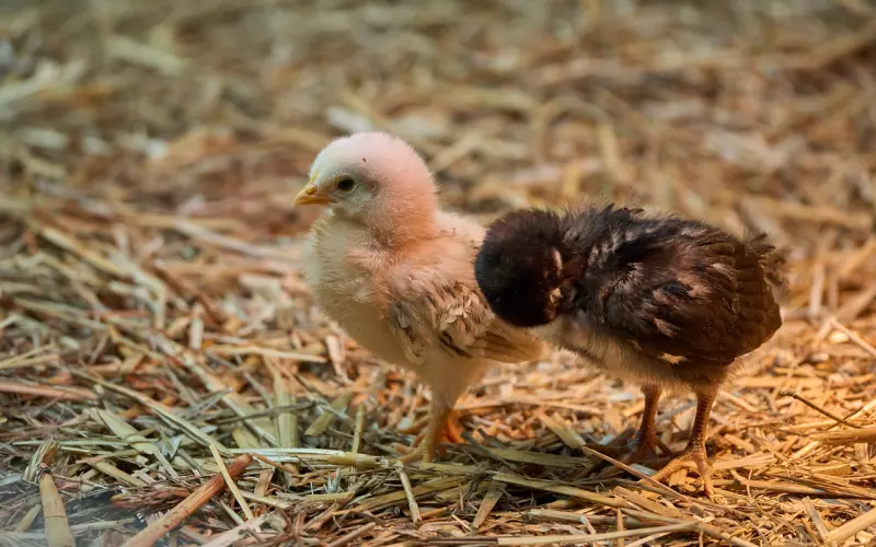 男友对你满不在乎，挽回男友必须做到的两个点