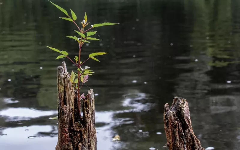 前任有新欢了，你就这样去挽回