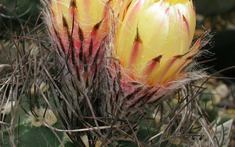 老公出轨不仅仅是因为你容颜衰老