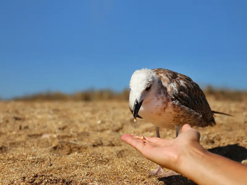 你的丈夫，决定了你的长相！