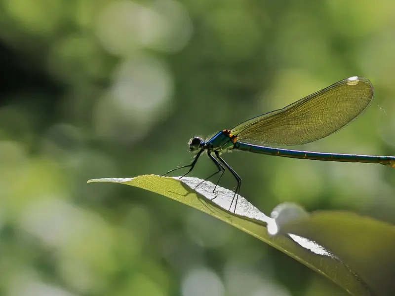 你的挽回失败，可能就差这几点