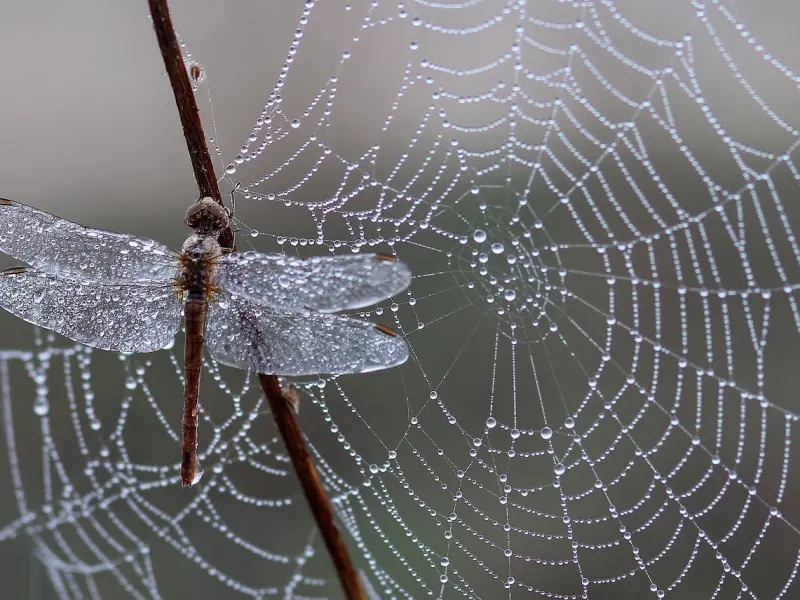 你很好，但我也不差
