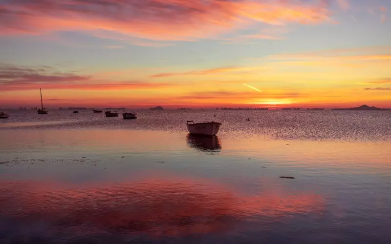 月月老师咨询服务