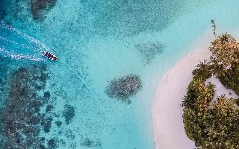 周公解梦：4大常见梦境为了提醒你什么？网友：第3个我真的常梦