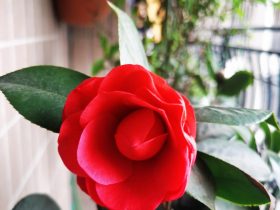 婚外情痛苦大于快乐(婚外情快乐还是痛苦)