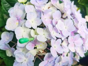 婚外情一个月3000块钱(婚外情倒贴了1百多万)