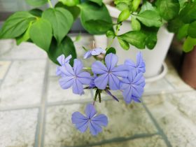 婚外情微信聊天记录删除怎么取证(婚外情只聊天不见面是什么心理)