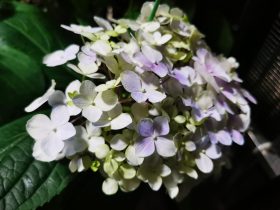 婚外情逼自己和老婆离婚(婚外情被他老婆发现该如何继续)