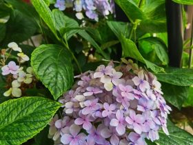 婚外情：男人会拿跟家里那位之间的事刺激我，而我无关痛痒